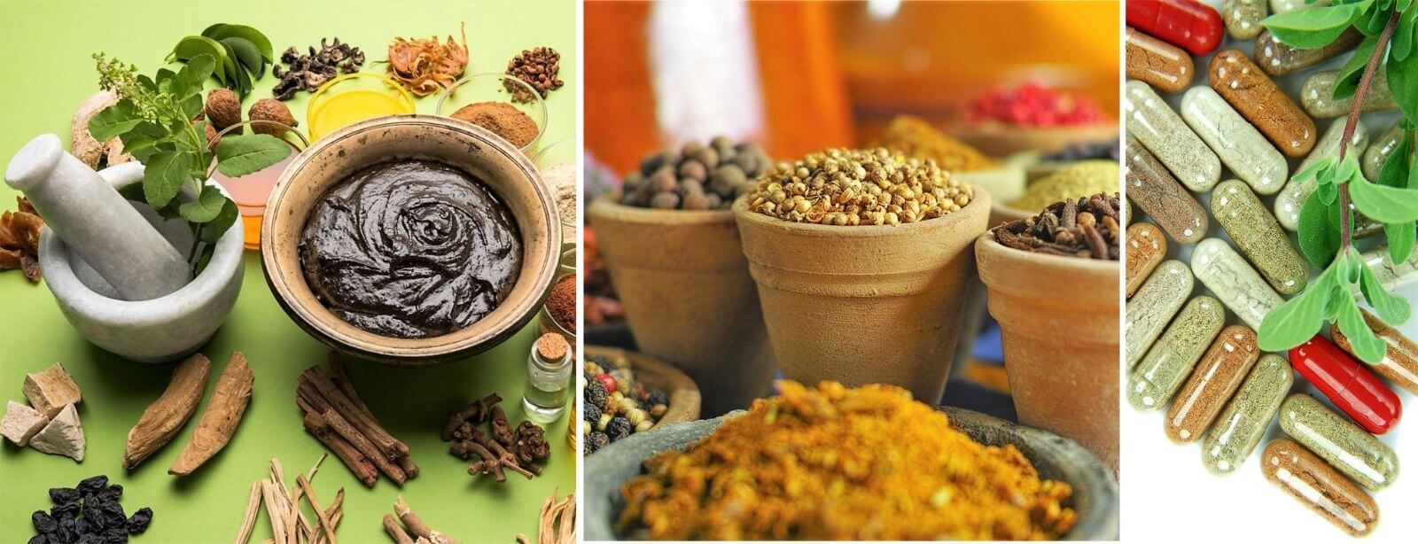 institut-ayurveda-ayur-ashram-4